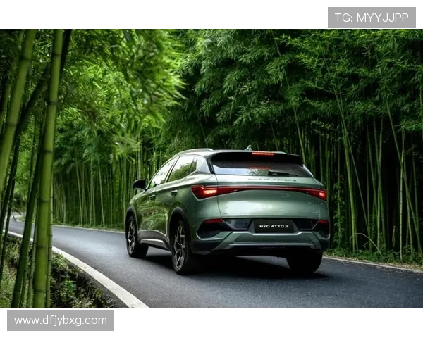 比亚迪携手足球球星共创绿色未来引领运动与科技完美融合 比亚迪携手足球球星共创绿色未来引领运动与科技完美融合