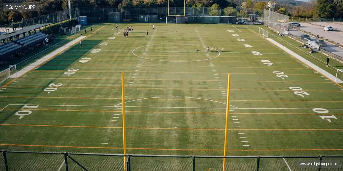 📱多屏同步，随时随地捕捉精彩瞬间！📻